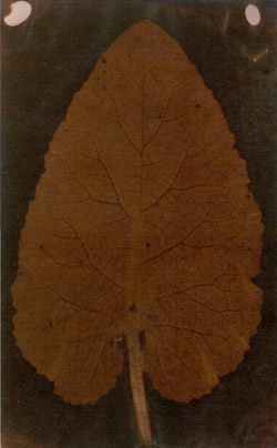 1836NE04C-TG.jpg
