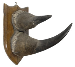 1871NE02A.jpg