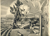 1808NE03B.jpg
