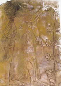 1818NE03A.jpg