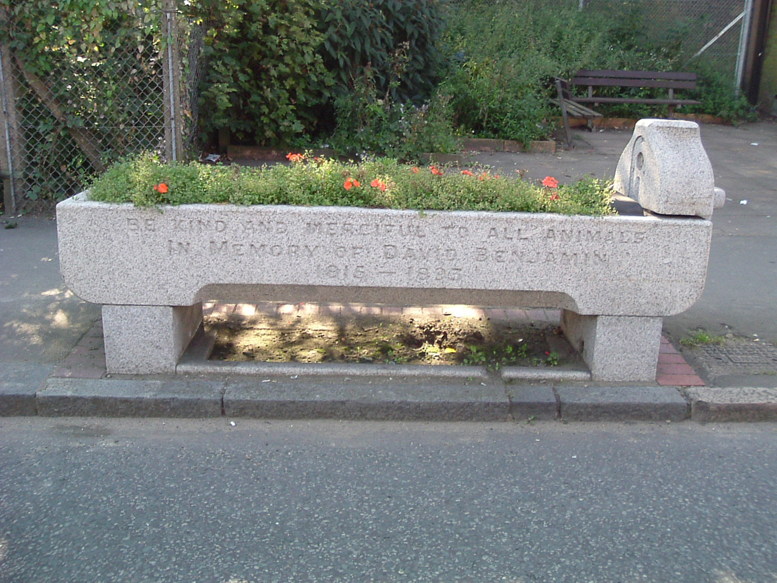 penge1.jpg