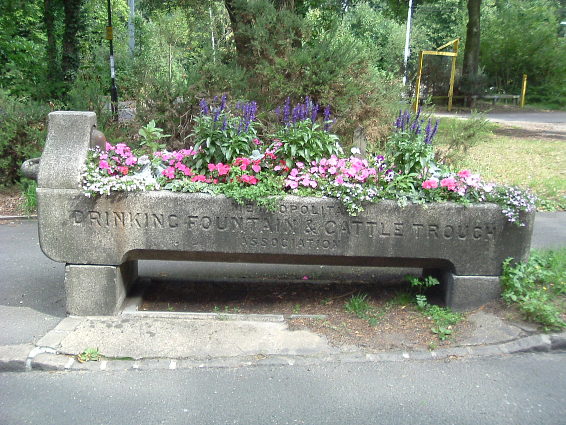 coombe road.jpg