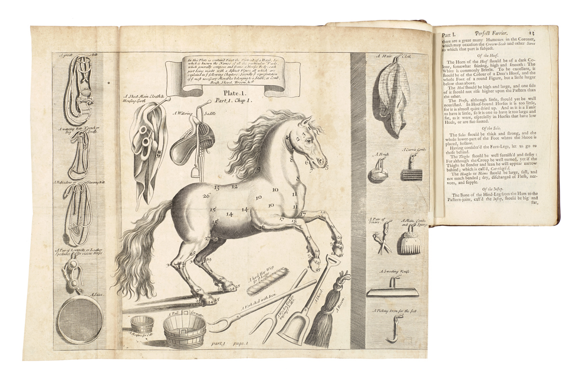 Jacques de Solleysel, The compleat Horseman (1706).jpg