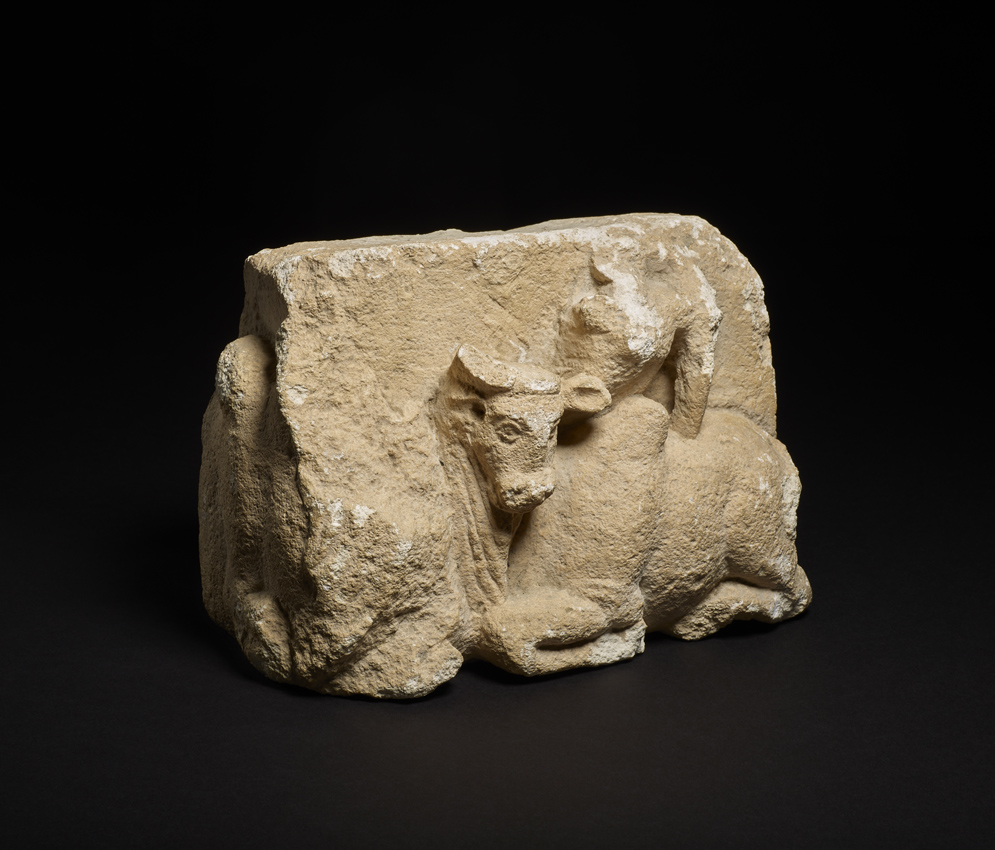 Surkh Kotal bull (002).jpg