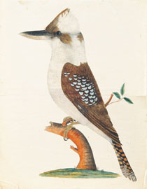 1714NE01A.jpg