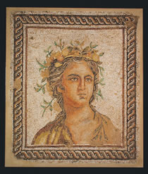 1678DD01C.jpg