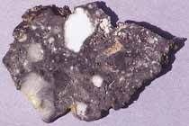 1644OE04M.jpg