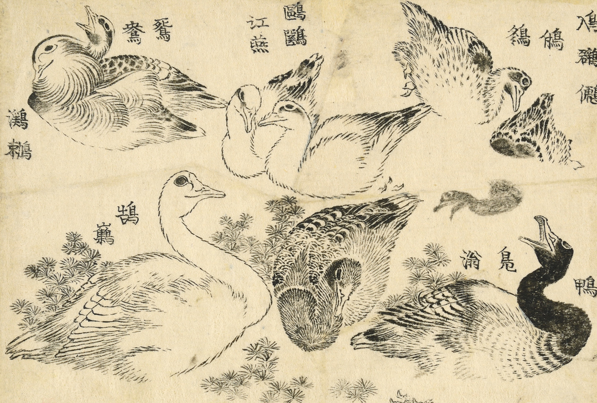 Hokusai.jpg