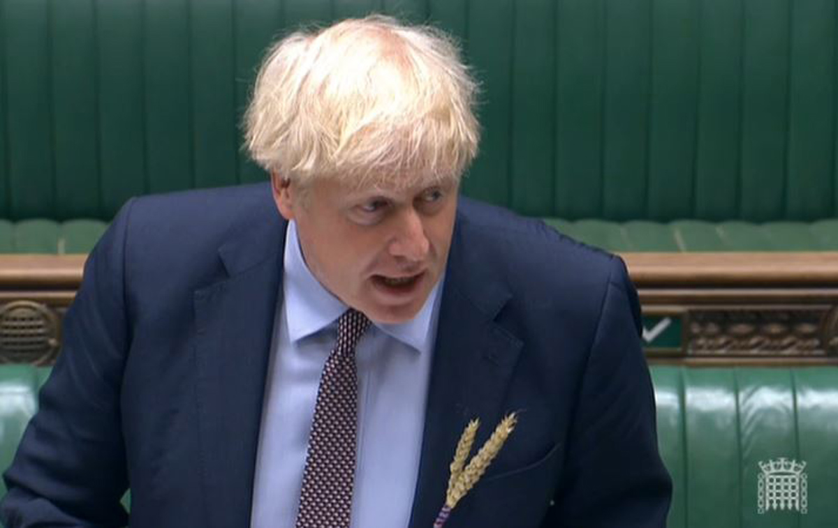 Boris.jpg