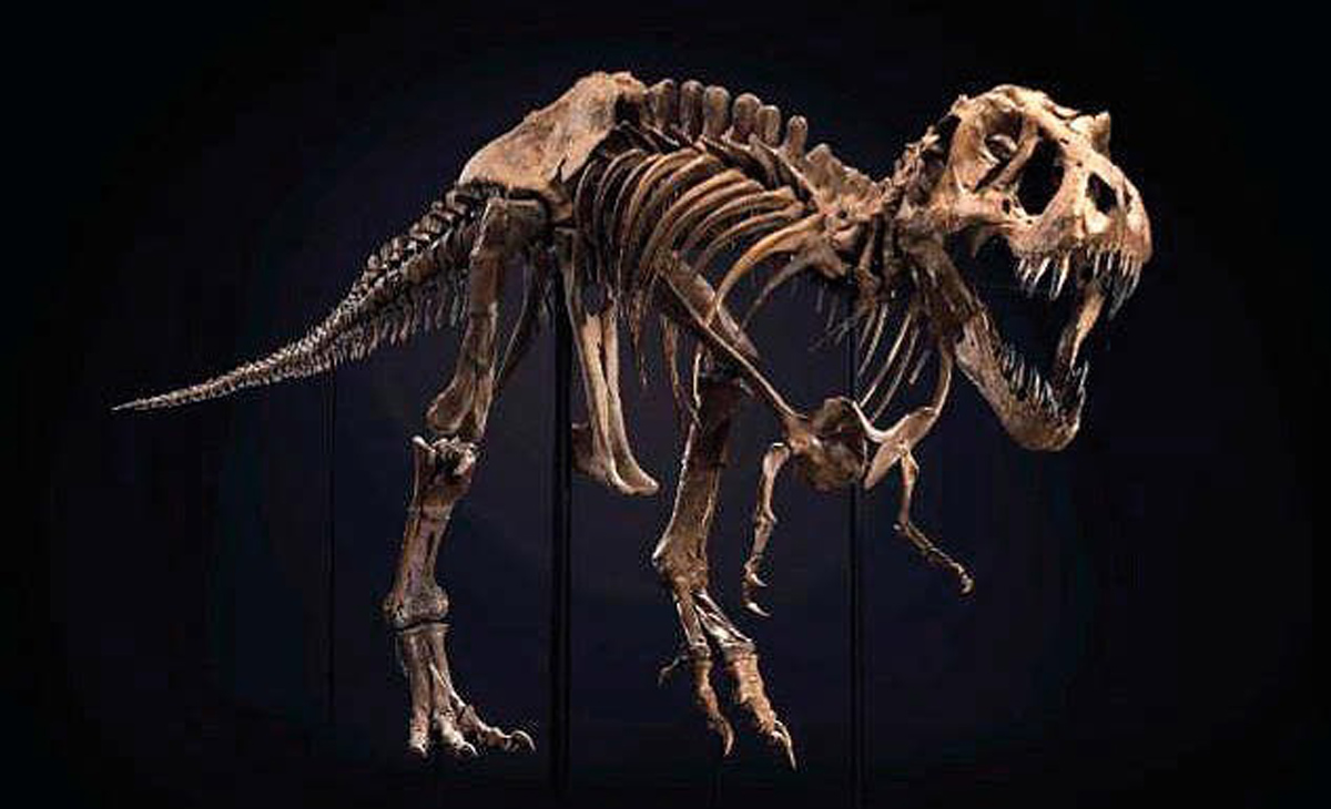 Dinosaur.jpg