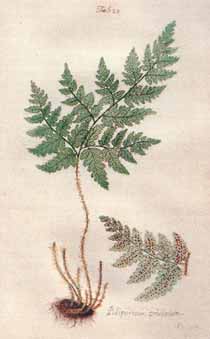 1658AB02F.jpg