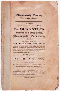1651AB02L.jpg