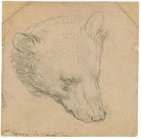 Leonardo da Vinci sketch