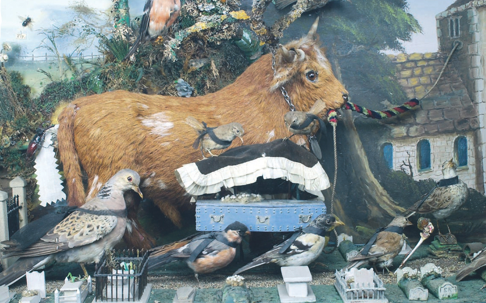 Taxidermy Walter Potter