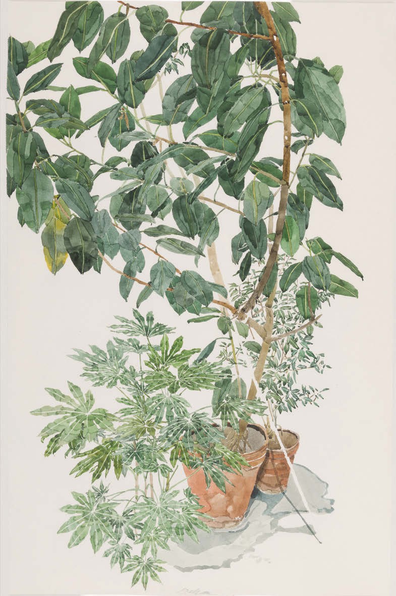 Watercolour on paper by Sam Szafran