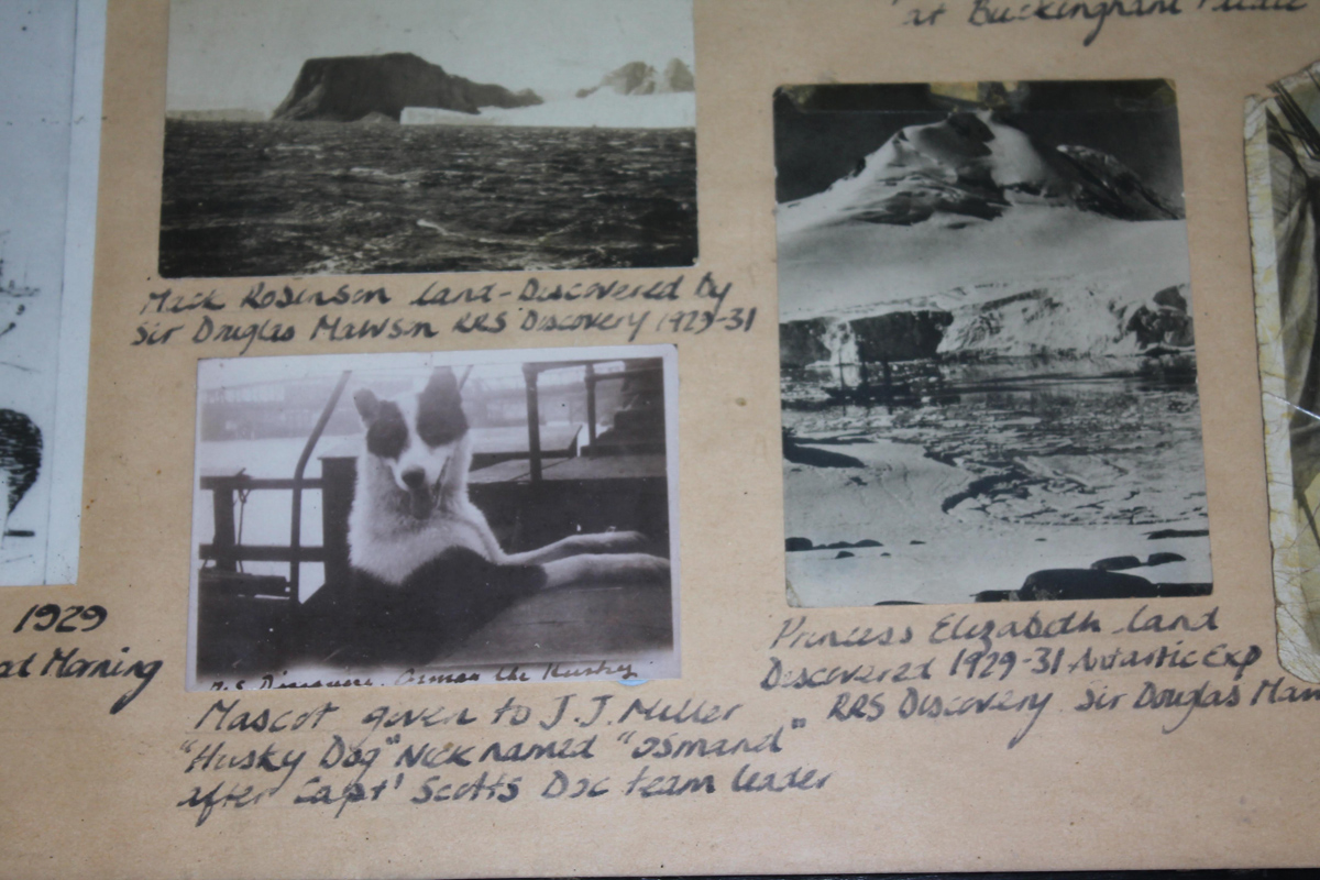 WEB Polar Medal W&W 3.jpg