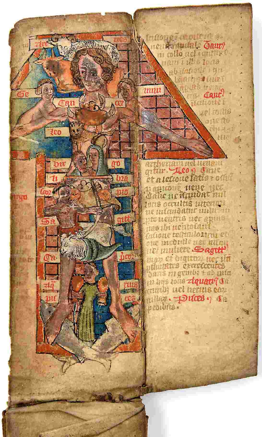 Zodiac man