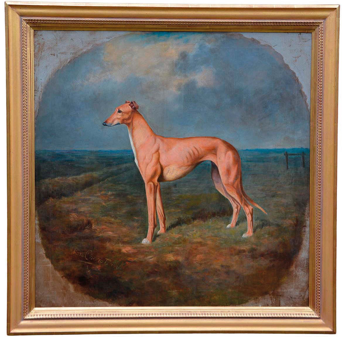 Shortcoming Winner of the Waterloo Cup picture