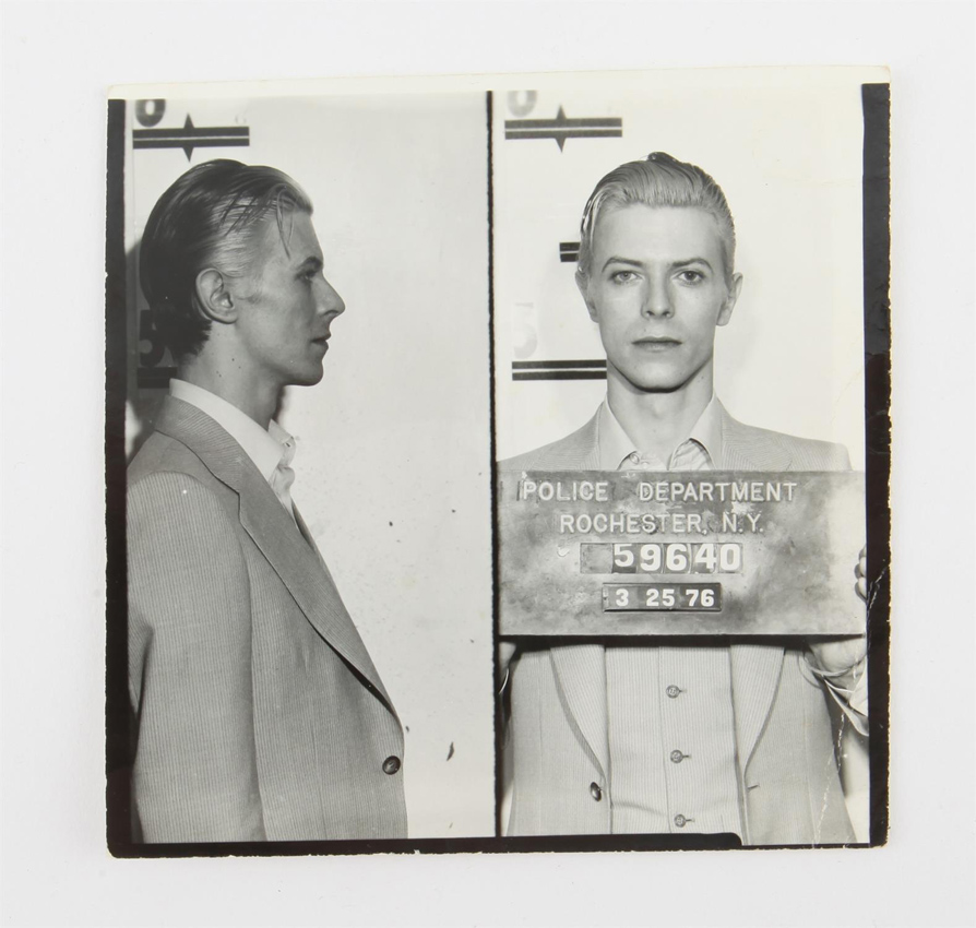 WEB Entertainment Bowie 1