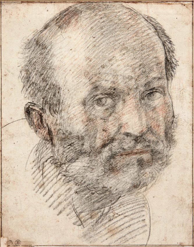 Andrea del Sarto drawing