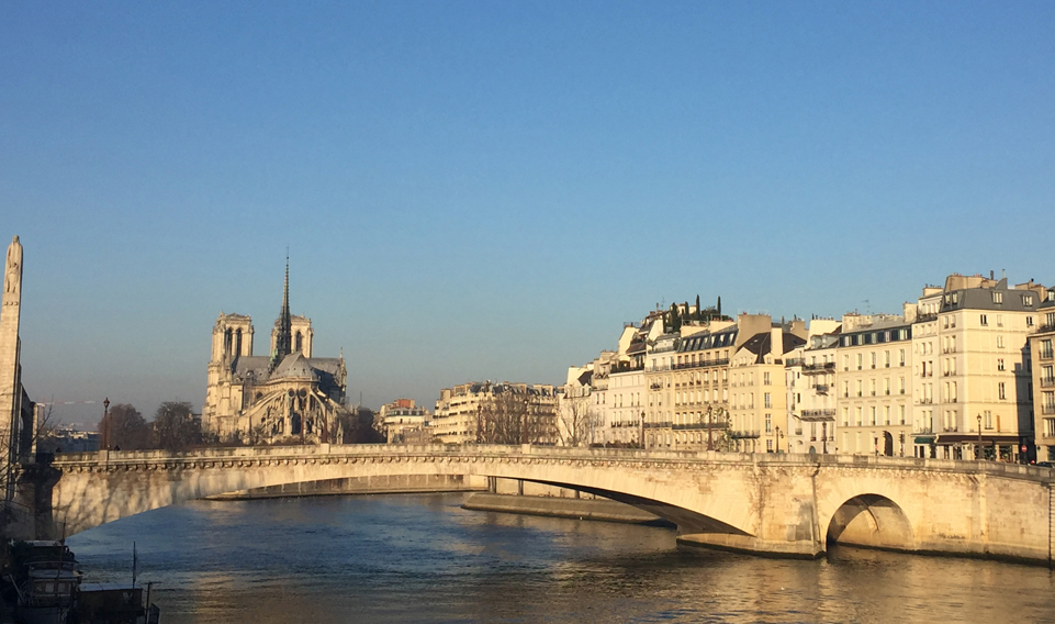 Paris scene 2275NEDI 12-01-17.jpg