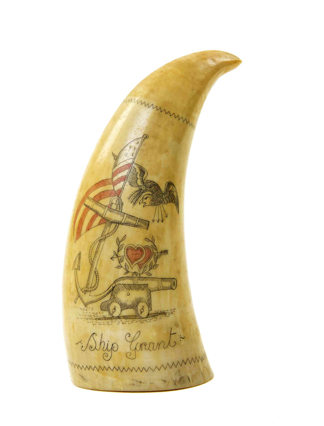Scrimshaw