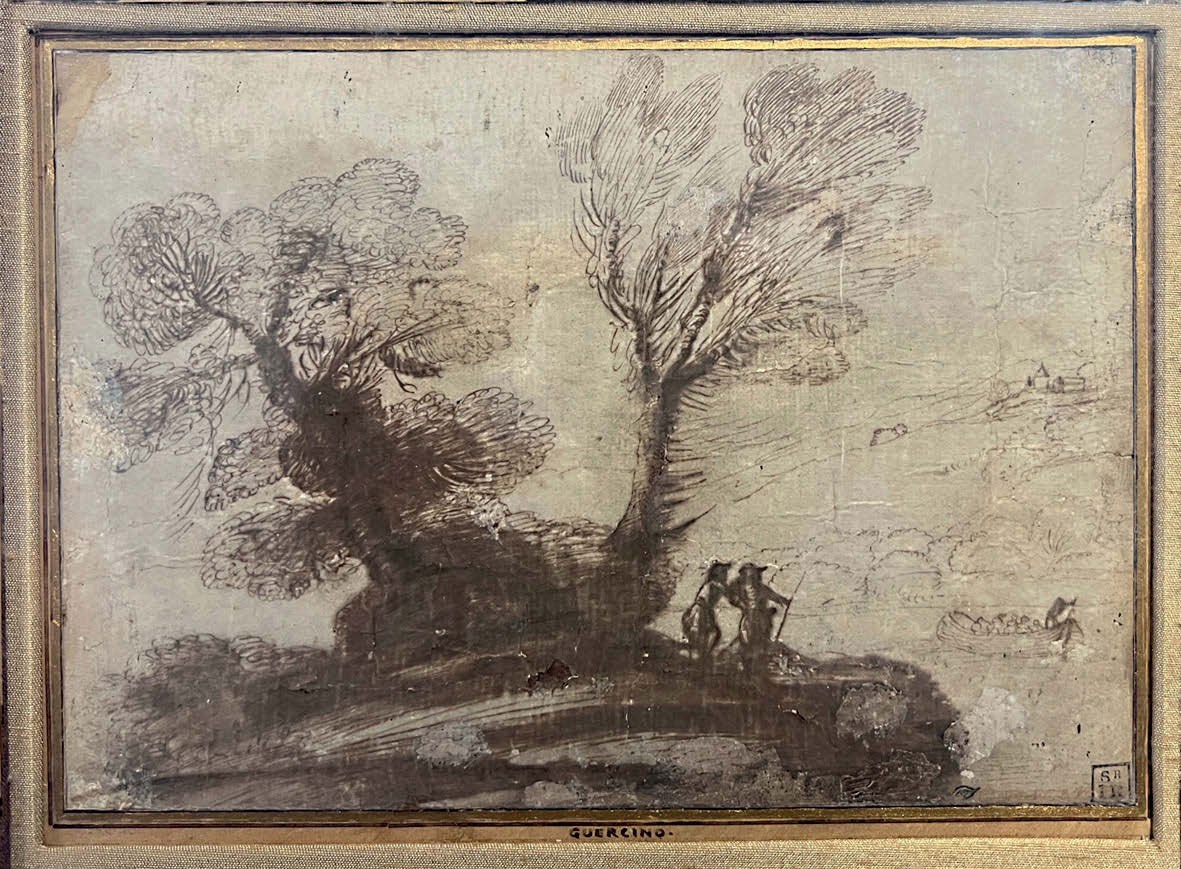 il Guercino drawing
