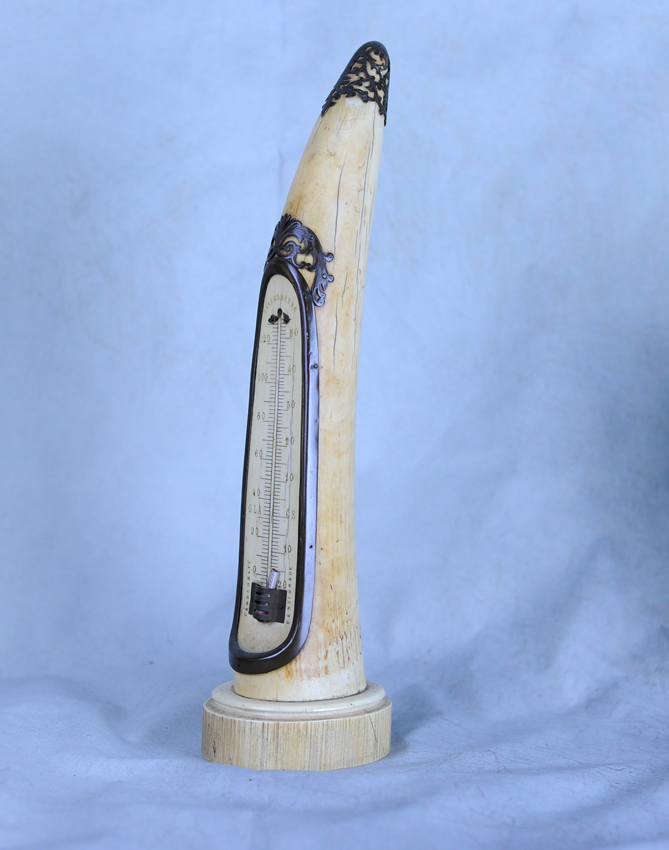 Ivory thermometer