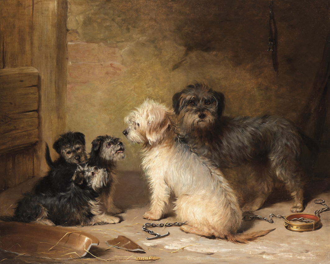 Dandie Dinmont