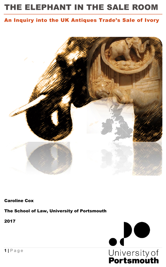 ivory report front cover